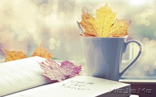 ������������ǳ����У������һ���ľ� (8)