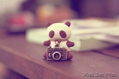 ����ϵͼƬ (6)