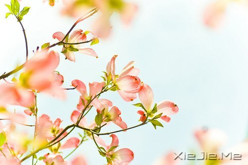 经典语录:与其埋怨世界,不如改变自己 (2)