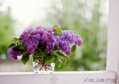 张嘉佳:请带一包葡萄干给我