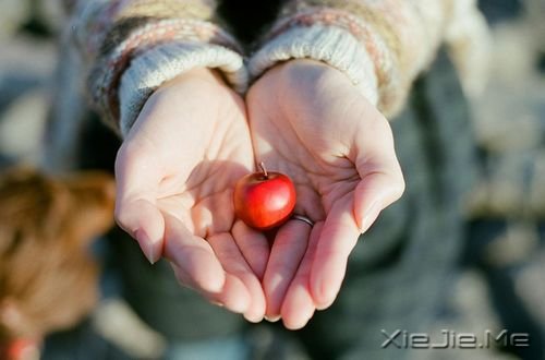 治愈系图片 (1)